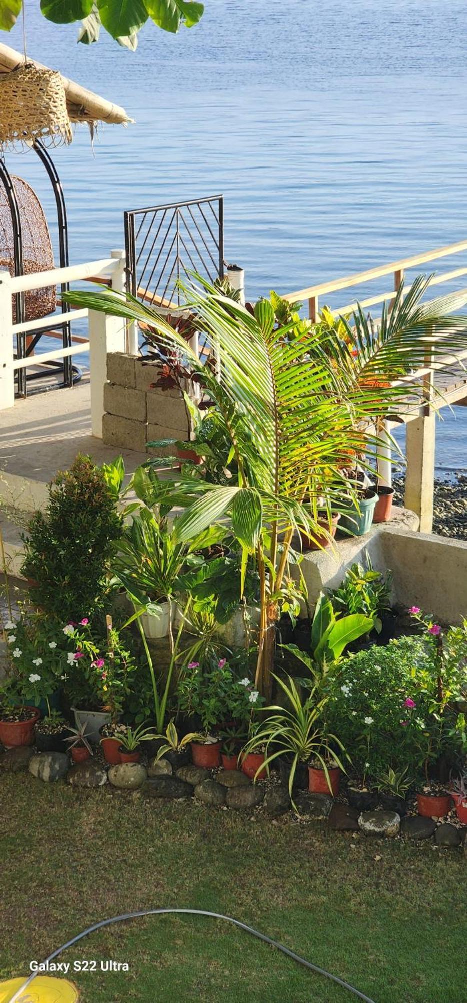 Libagon Chue&Larry'S Beachside Homestay מראה חיצוני תמונה
